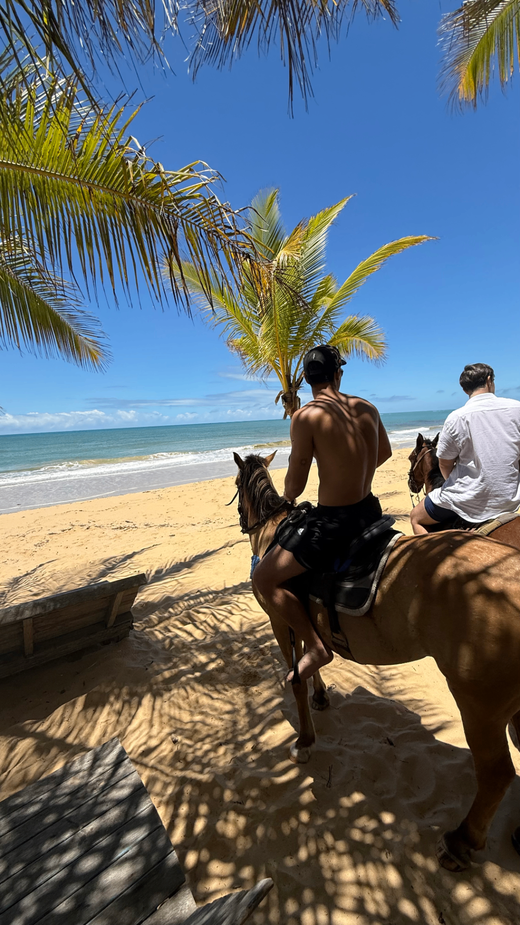 Naym cavalgando na praia